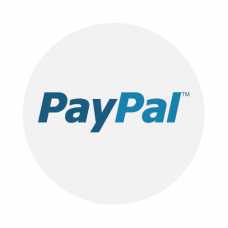 PayPal Transfer 500$