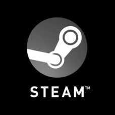 Steam 150USD Balance