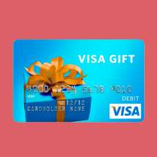 VISA Gift Card 500 USD x1